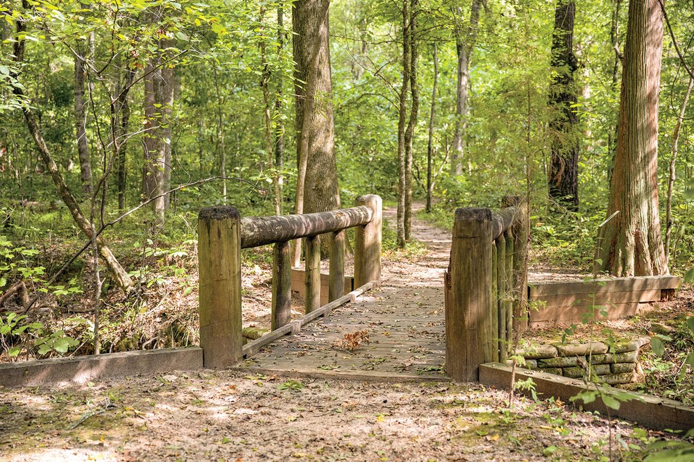 Caddo Forest Trail Bridge
