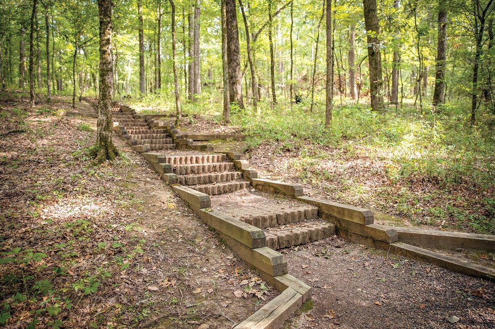 Stairs on Caddo Forest Trail