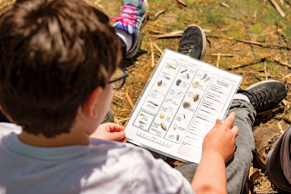 A child looking at a field guide.