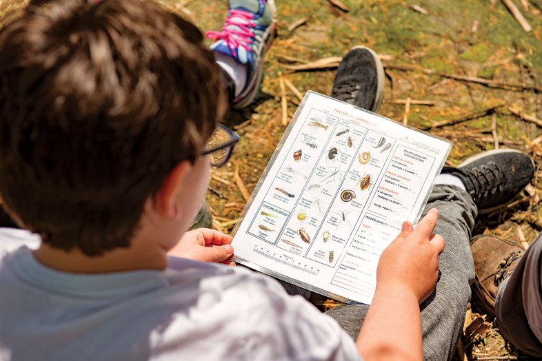 A child looking at a field guide.
