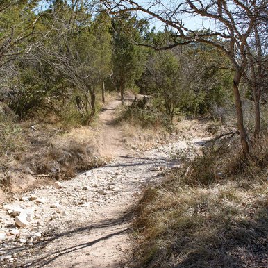 A dry creek bed.