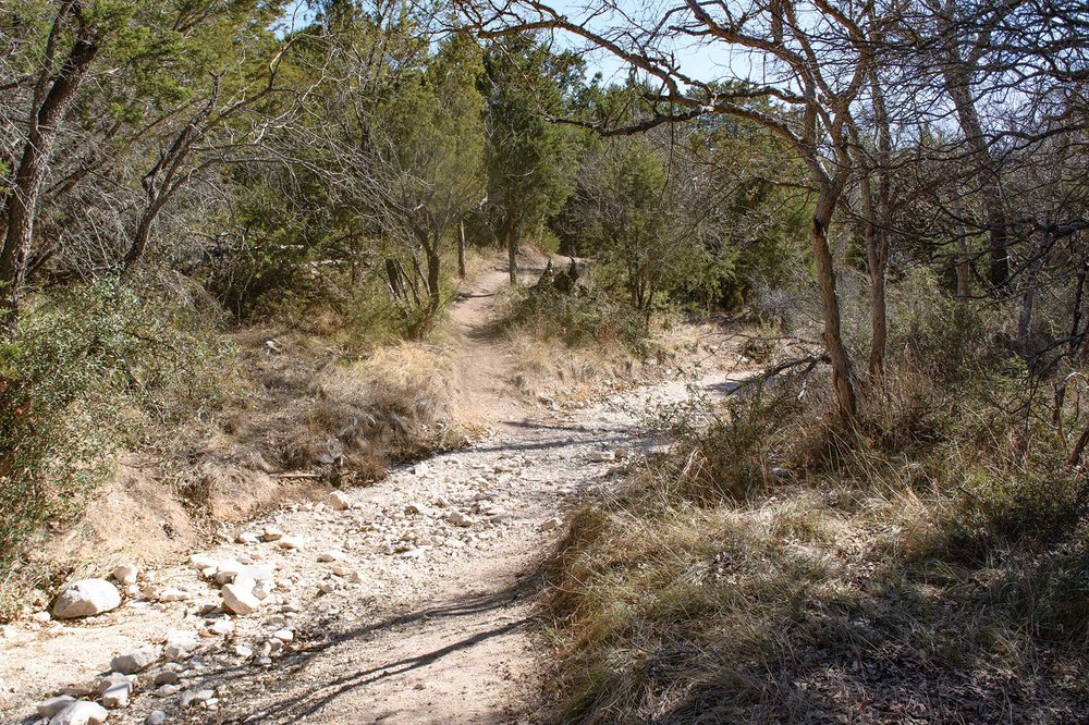 A dry creek bed.