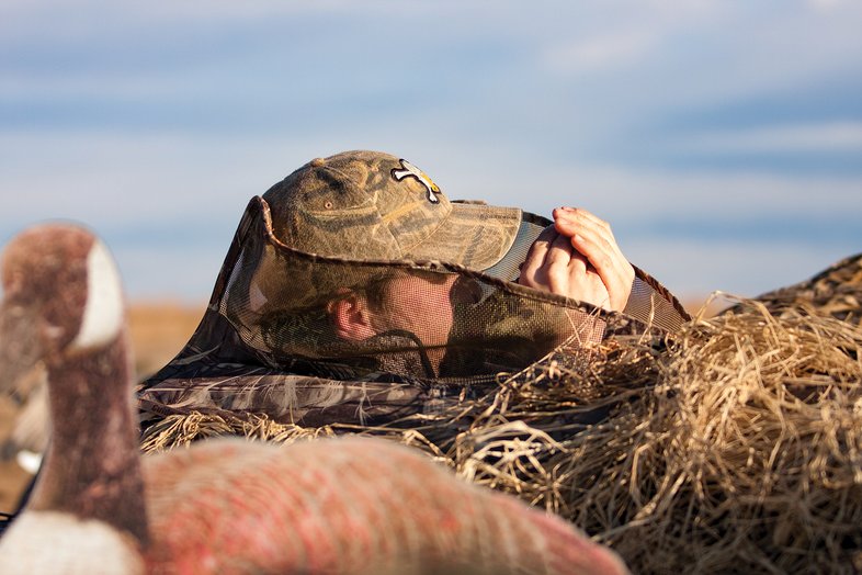 A duck hunter behind a blind using a duck call and a duck in the foreground.