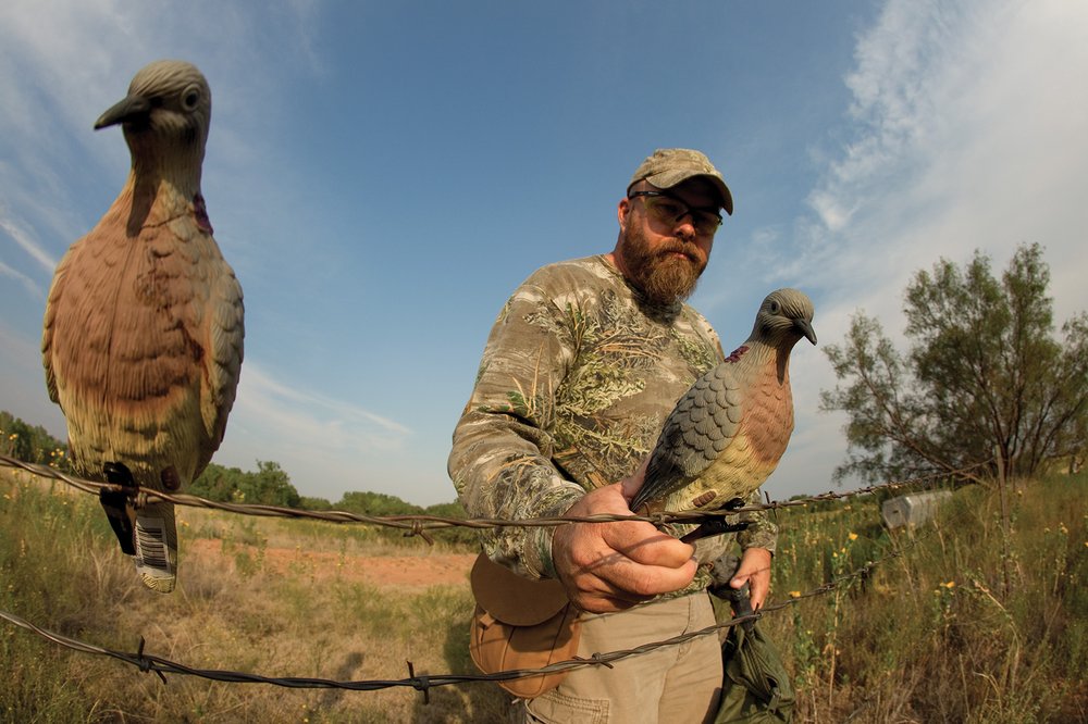 A hunter placing bird decoys on a barrbed wire fence.