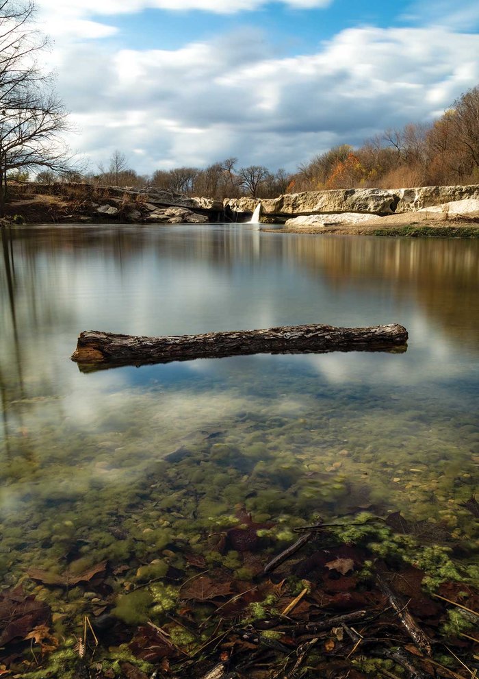 A log floating in water a McKinney Falls State Park.