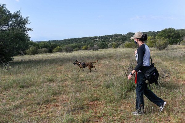 A person with gear and a dog in a field.