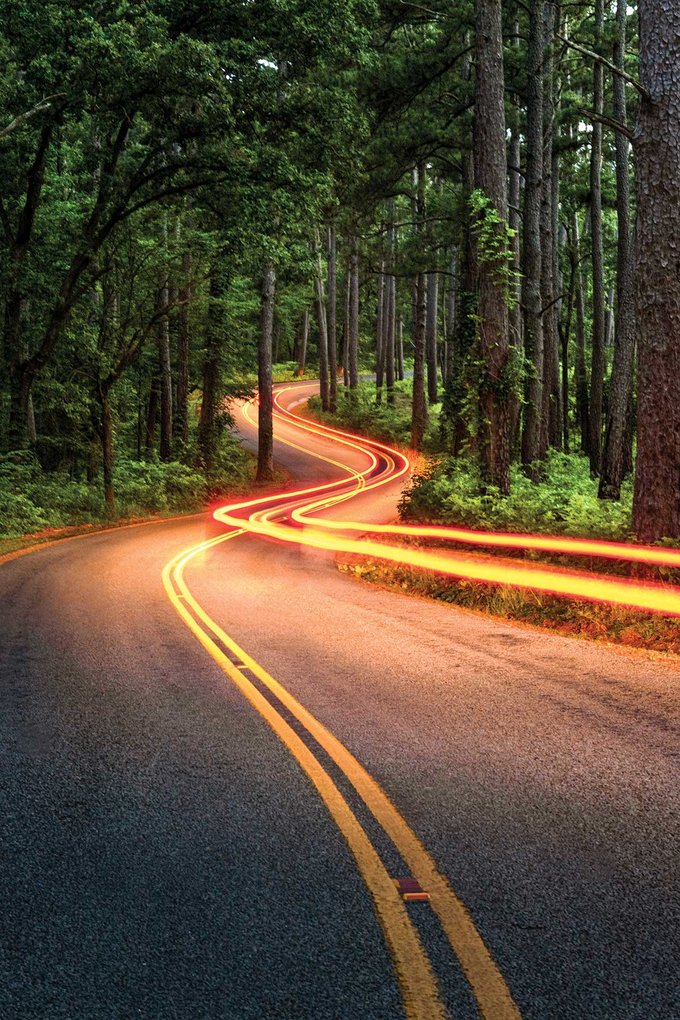 A road passing through trees.