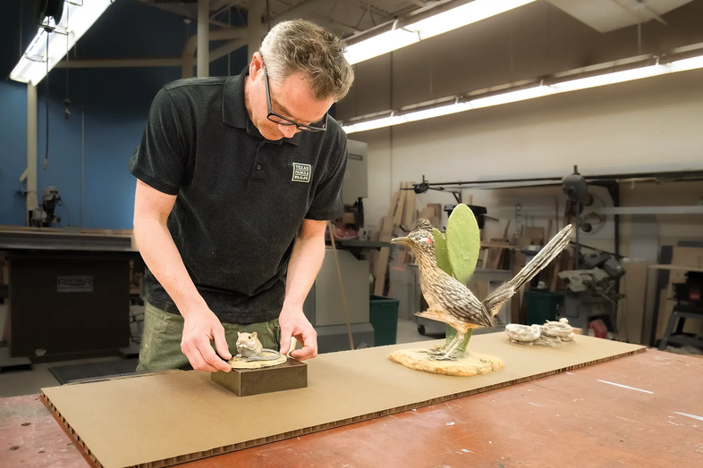 A state park team member creating a road runner and other replicas for an exhibt