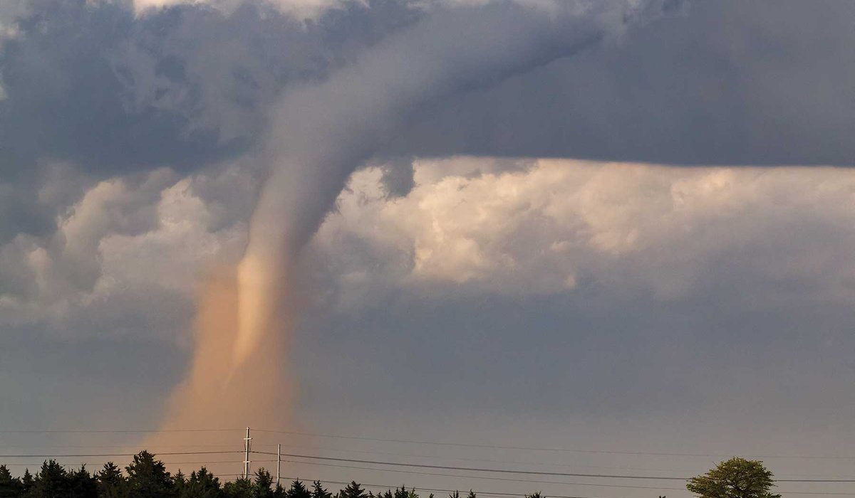 A tornado touching down behind some trees.