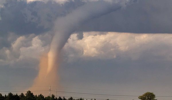 A tornado touching down behind some trees.