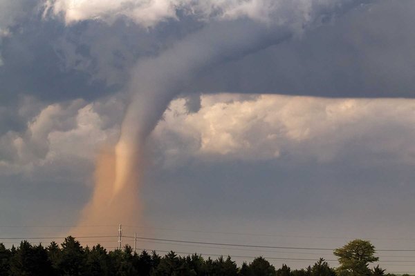 A tornado touching down behind some trees.