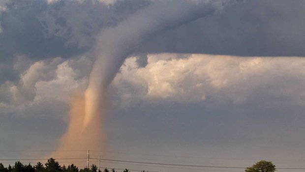 A tornado touching down behind some trees.