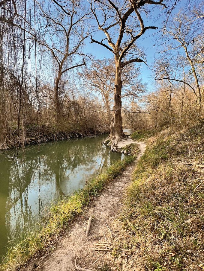 A trail along the Medina River.