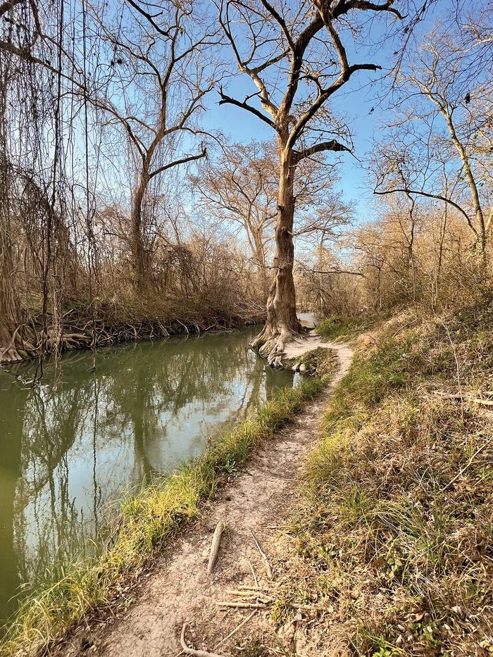 A trail along the Medina River.