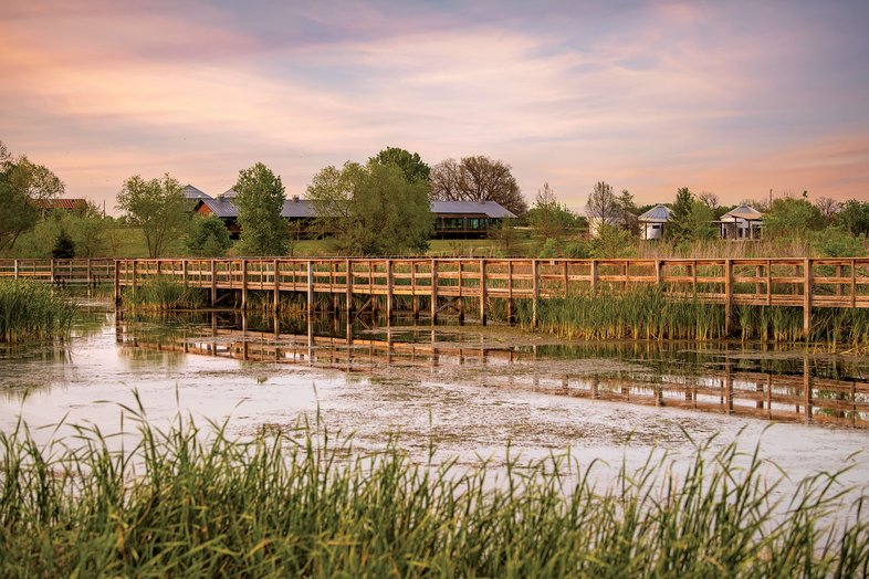 A wooden bridge running through the wetland.