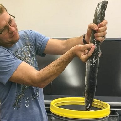 Man in a blue shirt holding a slime producing eel that has been pulled from a container