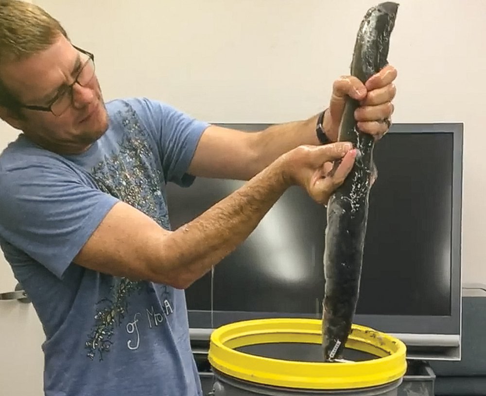 Man in a blue shirt holding a slime producing eel that has been pulled from a container