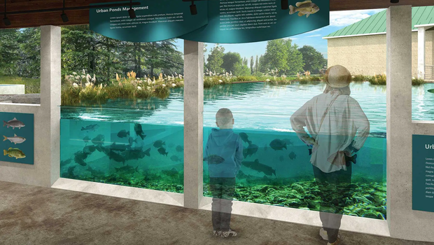 Rendering of an adult and child viewing the schools of fish in an aquarium