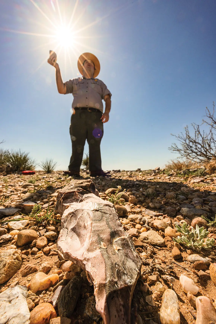 Alibates Flint quarries man standing in rocky terrain holding an artifact with a mammoth skull on the ground