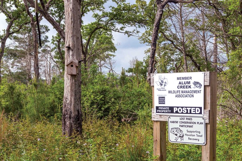 Alum Creek Association sign at the edge of the woods.