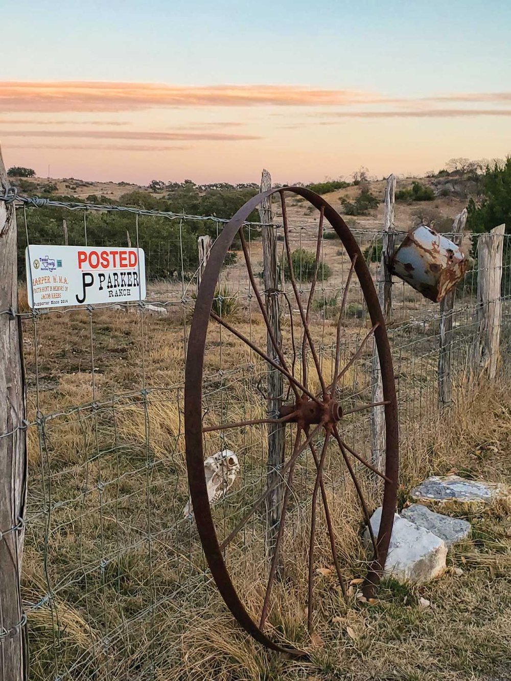 An old wagon wheel leaning against a wire fence.