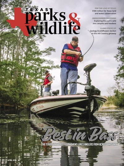 April 2018 Cover "Best in Bass"