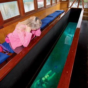 ﻿Glass-bottom boat with a person sitting on a blue cushioned bench leaning over the wall to see the fish beneath the glass