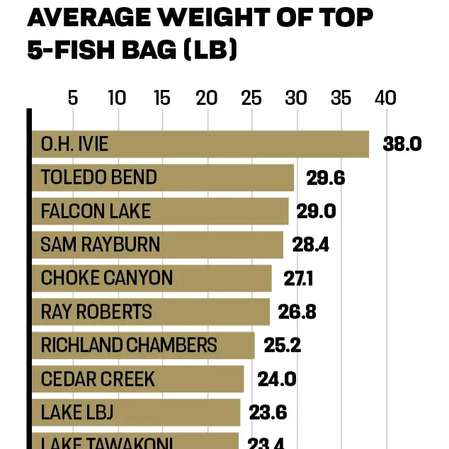 Average Weight Of Top 5-Fish Bag (Lb) Graph