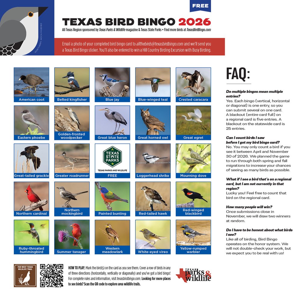 State wide Birding Bingo Card with the pictures and names of various birds.