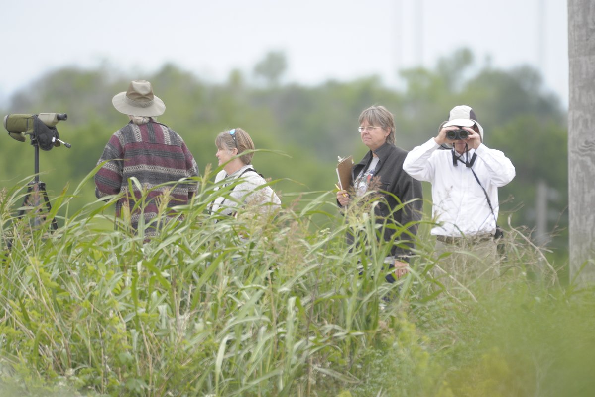 Birders out for the Big Sit at Hornsby Bend
