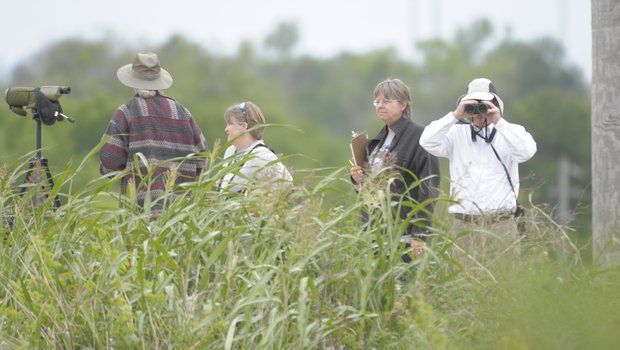 Birders out for the Big Sit at Hornsby Bend