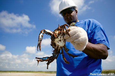 man holding an oil covered crab from BP spill