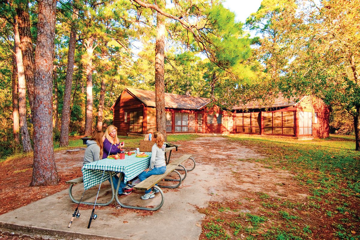 Picnic at Bastrop State Park