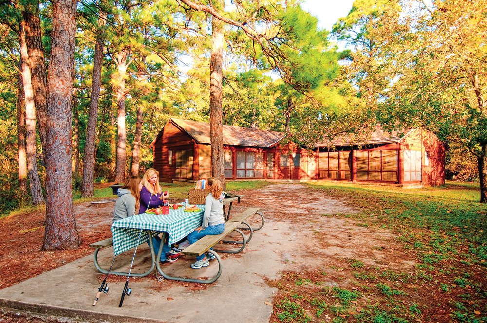 Picnic at Bastrop State Park