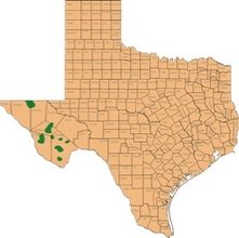 Map showing Texas bear range in 1940