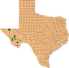 Map showing Texas bear range in 1940