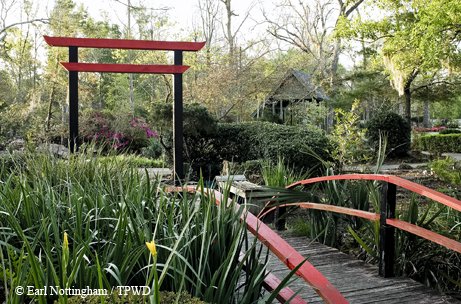 Beaumont Botanical Gardens wood bridge with red rails