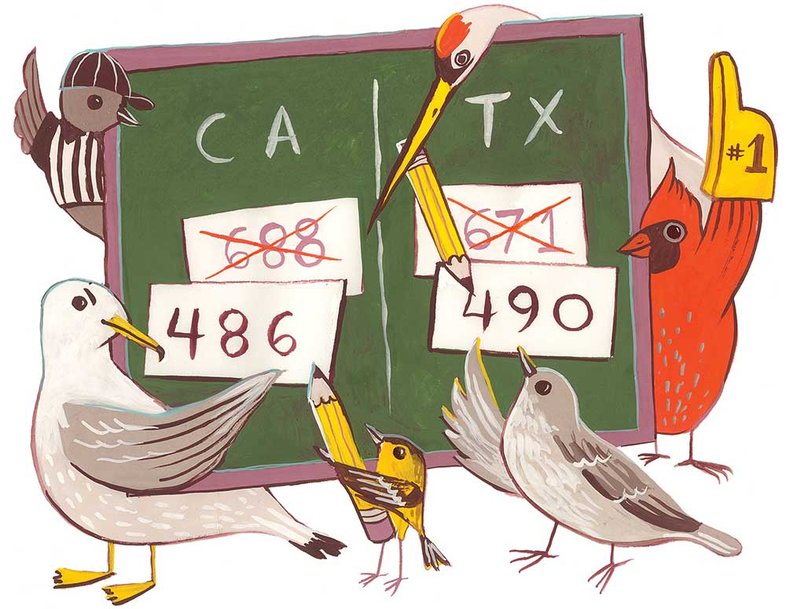 Birds-numbers