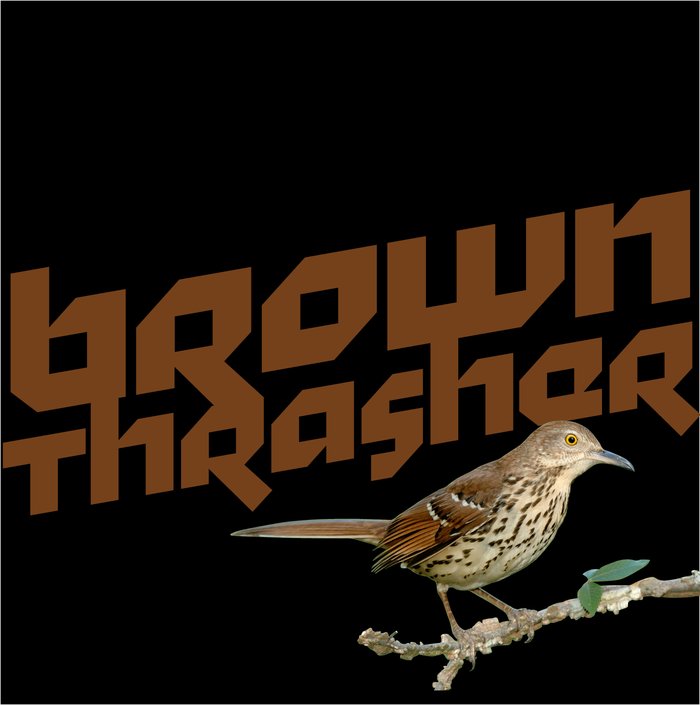 illustration of a Brown Thrasher on a branch with the words "Brown Thrasher" printed above
