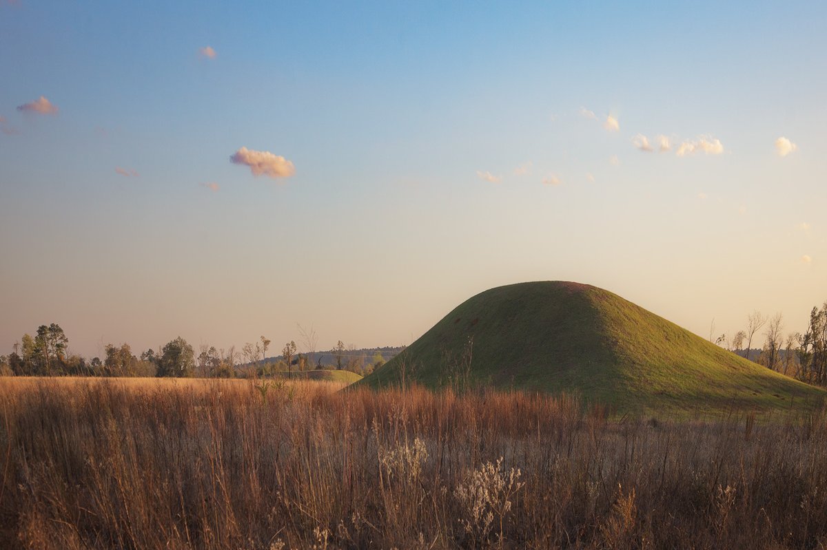 grassy Caddo Mounds in a field