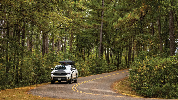 Car driving through tall trees at a texas state park