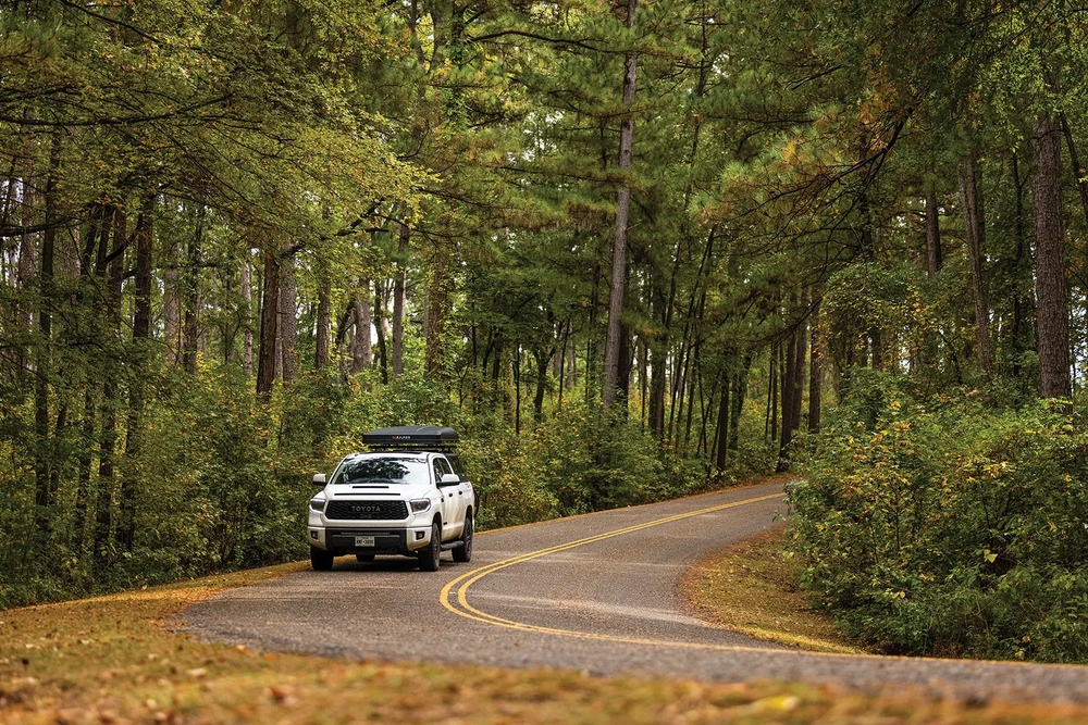Car driving through tall trees at a texas state park