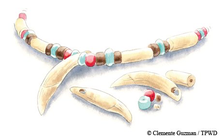 Illustration of a Caribbean Monk Seal Necklace made of bone and beads.