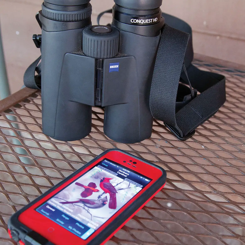 Cell phone with birding app open and laying on a table next to binoculars