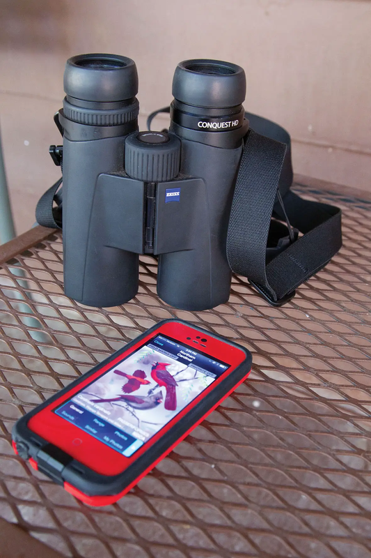 Cell phone with birding app open and laying on a table next to binoculars
