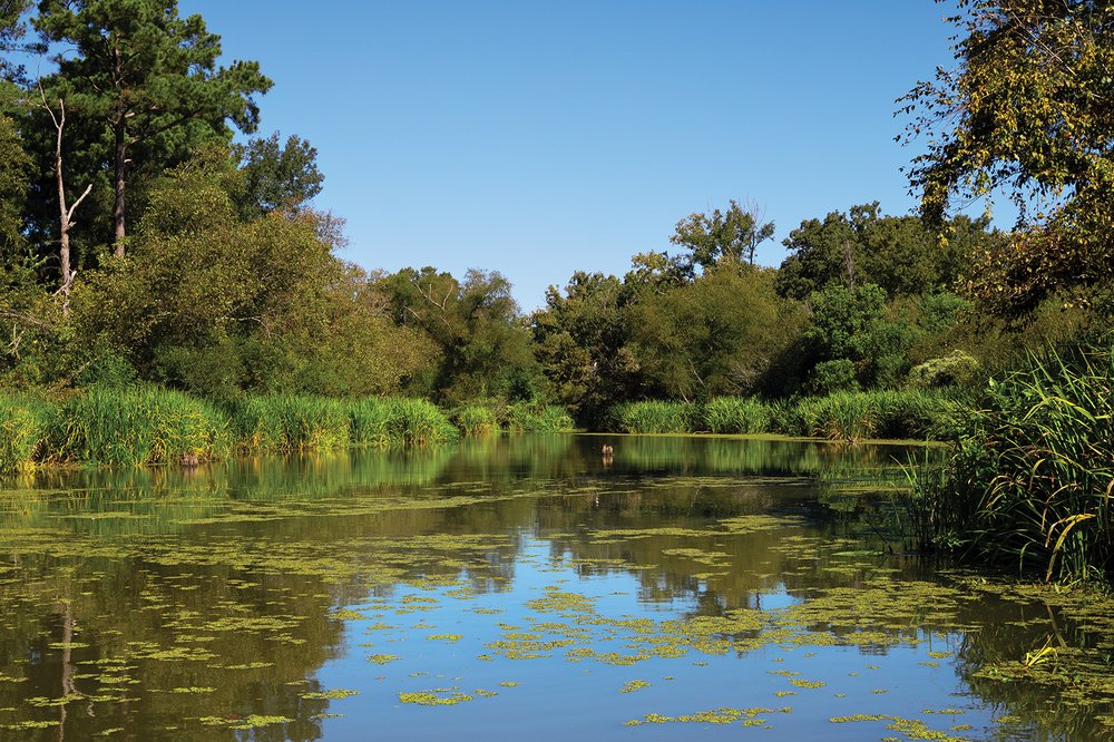 Chandler Paddling Trail on the Neches River