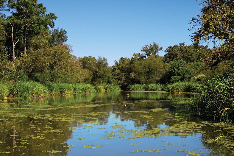 Chandler Paddling Trail on the Neches River