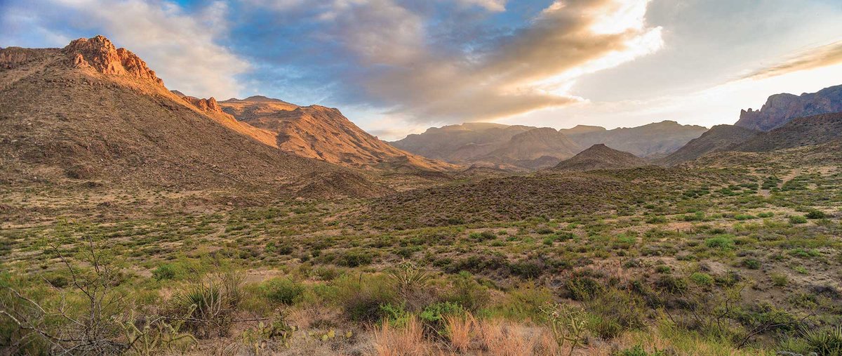 Chinati Mountains State Natural Area - a field with mountains in the background