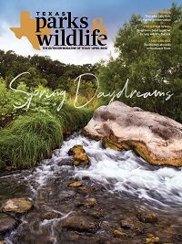 Cover April 2022 Spring Daydreams - water running around a rock.