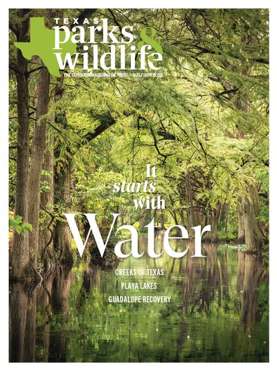 Cover August-September Image of Cypress Creek. Title "It Starts With Water"